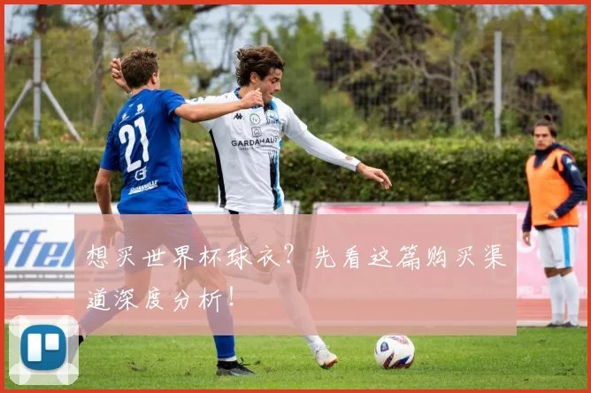 想买世界杯球衣?先看这篇购买渠道深度分析!