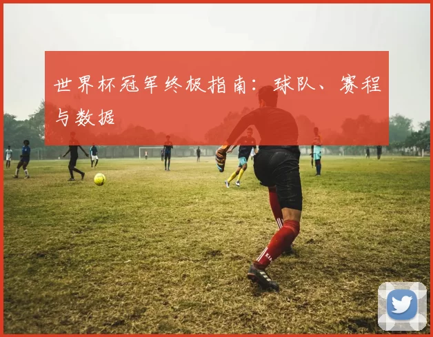 世界杯冠军终极指南:球队、赛程与数据