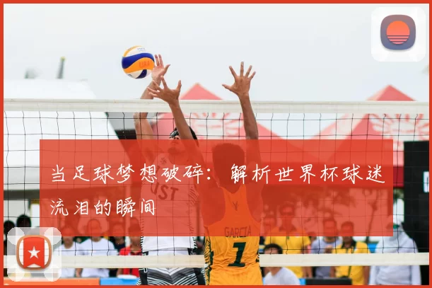 当足球梦想破碎:解析世界杯球迷流泪的瞬间