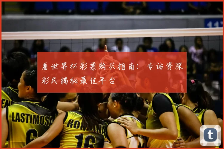 看世界杯彩票购买指南:专访资深彩民揭秘最佳平台