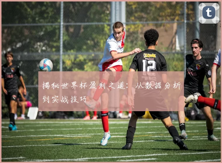 揭秘世界杯盈利之道:从数据分析到实战技巧