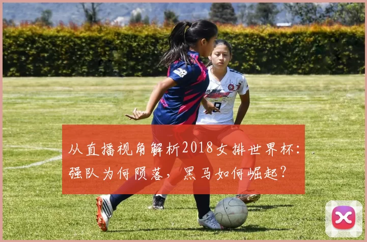 从直播视角解析2018女排世界杯：强队为何陨落，黑马如何崛起？