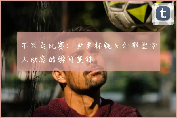 不只是比赛：世界杯镜头外那些令人动容的瞬间集锦