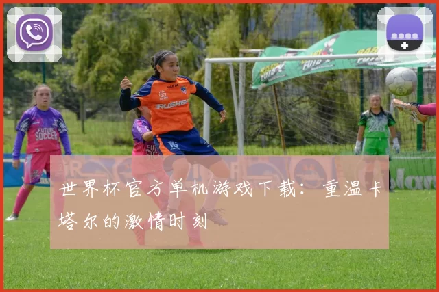 世界杯官方单机游戏下载：重温卡塔尔的激情时刻