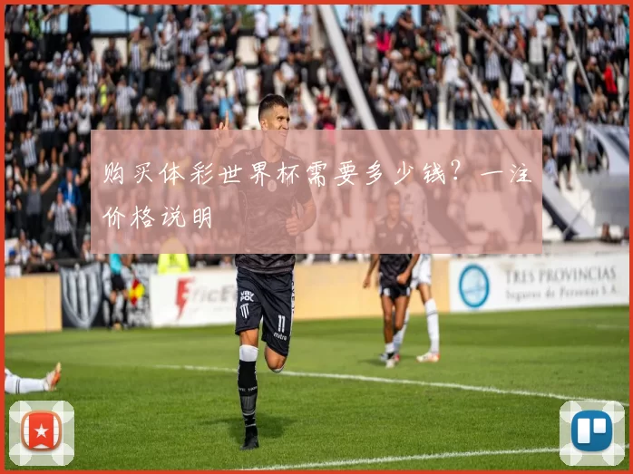 购买体彩世界杯需要多少钱？一注价格说明