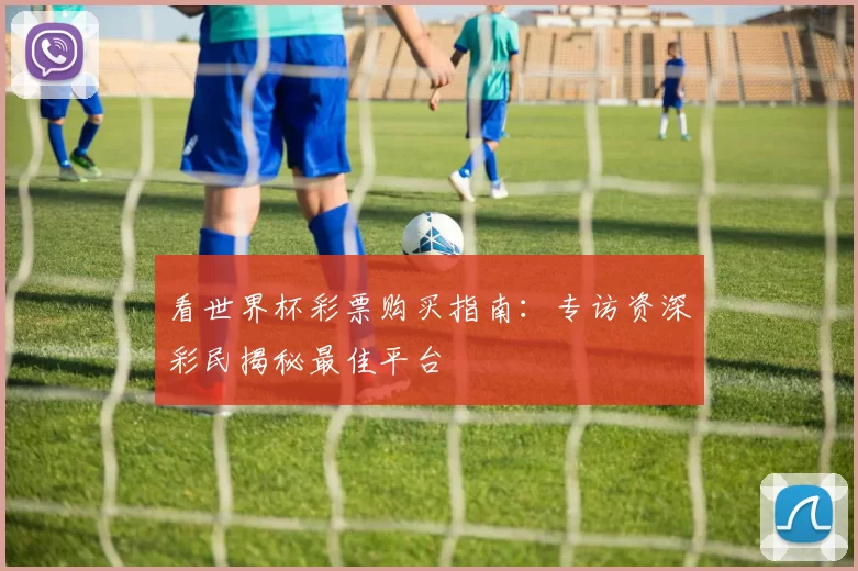 看世界杯彩票购买指南:专访资深彩民揭秘最佳平台