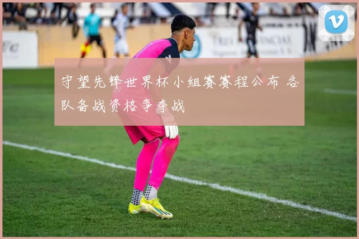 守望先锋世界杯小组赛赛程公布 各队备战资格争夺战