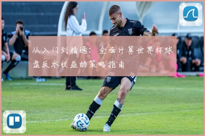 从入门到精通：全面计算世界杯球盘反水收益的策略指南