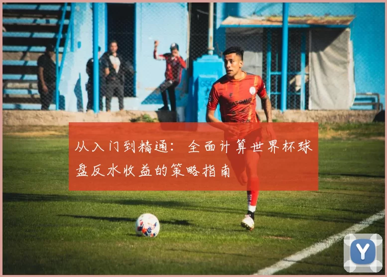 从入门到精通:全面计算世界杯球盘反水收益的策略指南